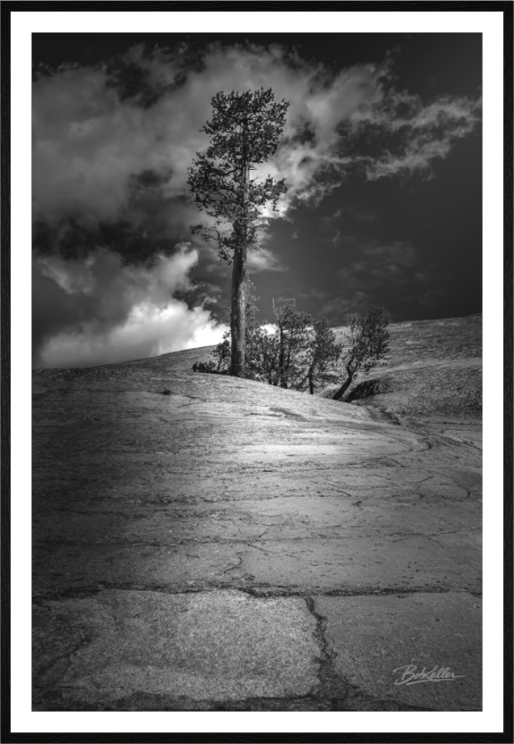 Main image Motherhood