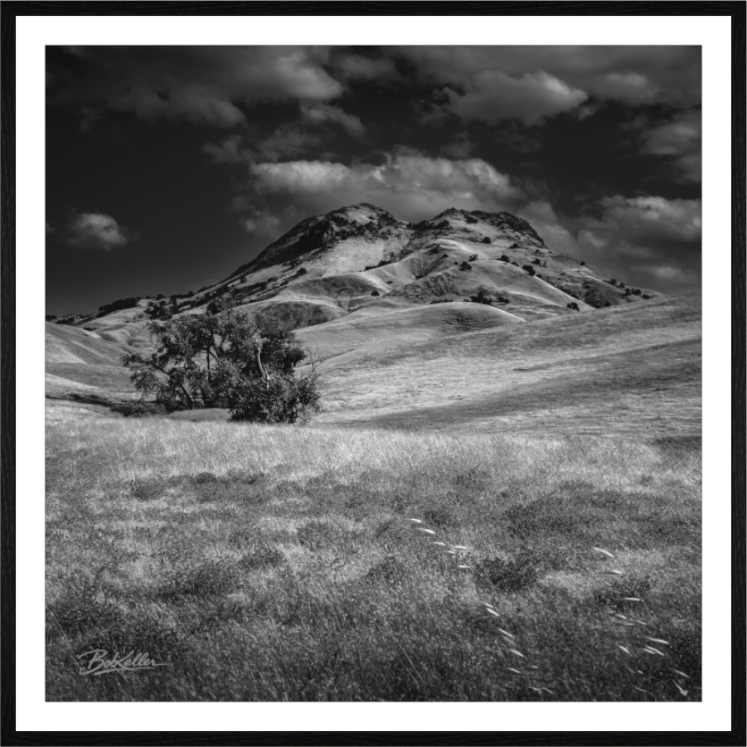 Main image Volcanic Expression