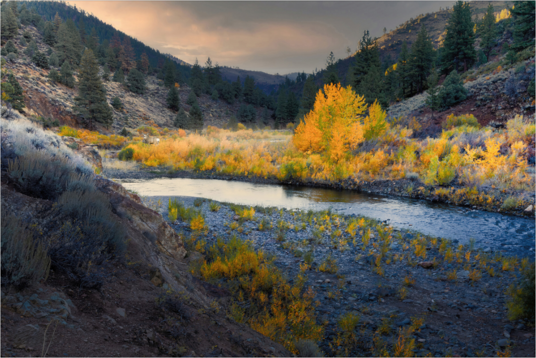 Main image Where Autumn Crosses the dsPass