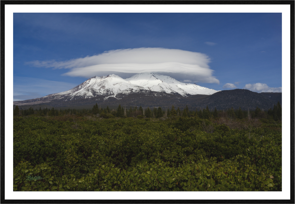 Main image Lenticular Majesty