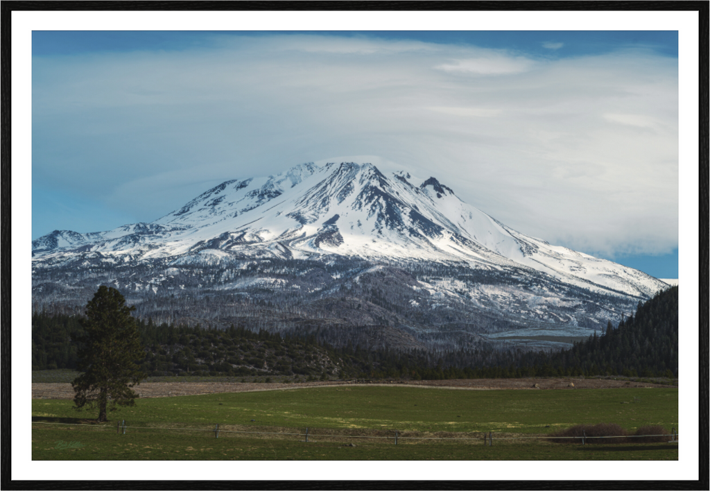 Main image Volcanic Silence